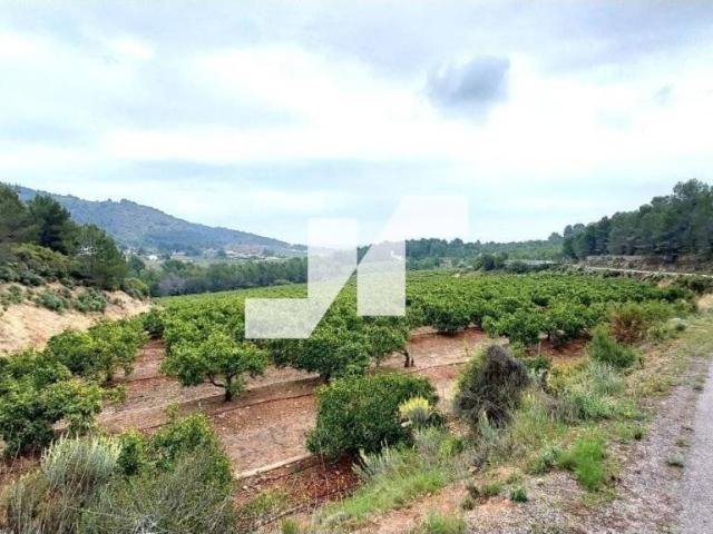 Terreno en venta en la Plana Baixa, Valencia