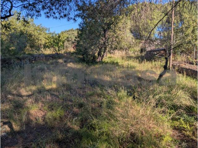 Terreno en venta en la Plana Baixa, Valencia