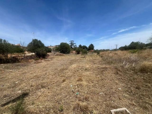 Terreno en venta en la Plana Baixa, Valencia