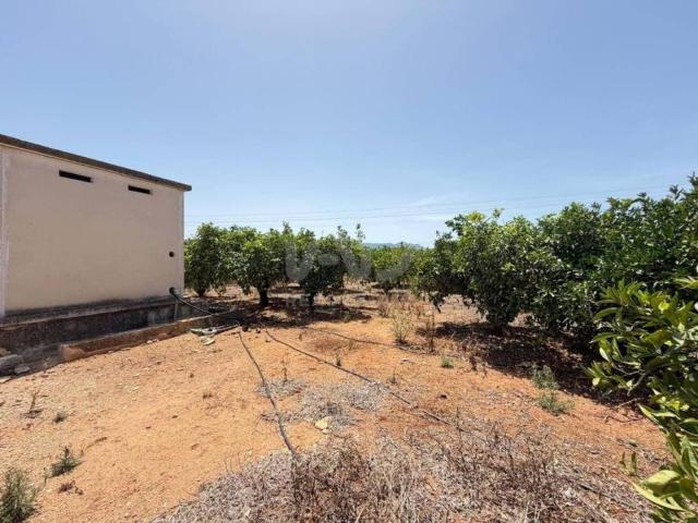 Terreno en venta en la Marina Alta, Valencia