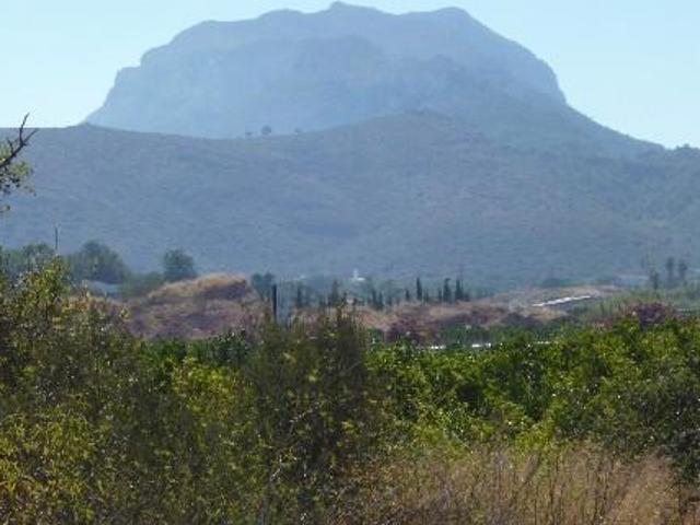 Terreno en venta en Ondara