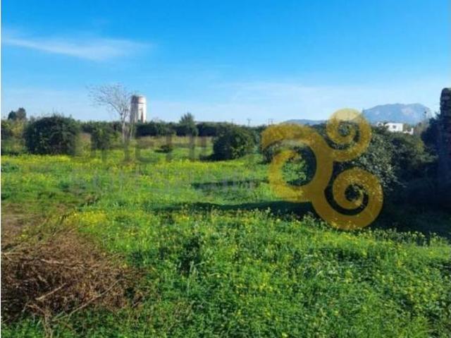 Terreno en venta en Ondara, Pamis