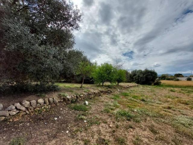 Terreno en venta en la Marina Alta, Valencia