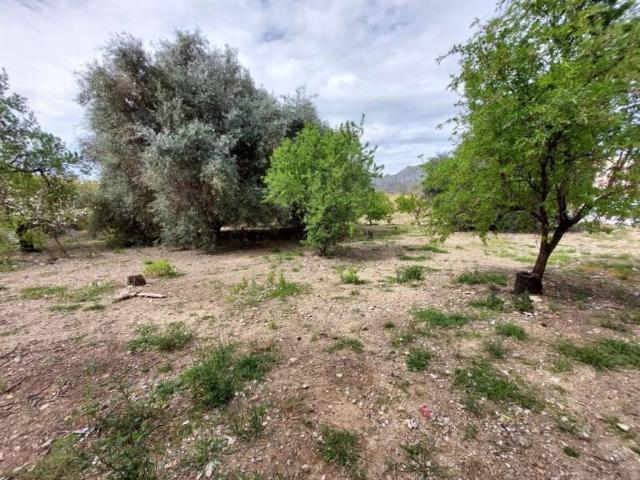 Terreno en venta en Ondara, Alacant / Alicante
