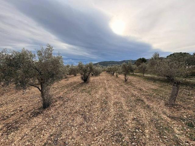 Terreno en venta en l'Alcoià, Valencia