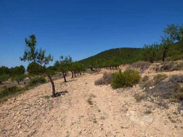 Terreno en venta en Onil, Alacant / Alicante