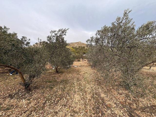 Terreno en venta en Onil, Valencia