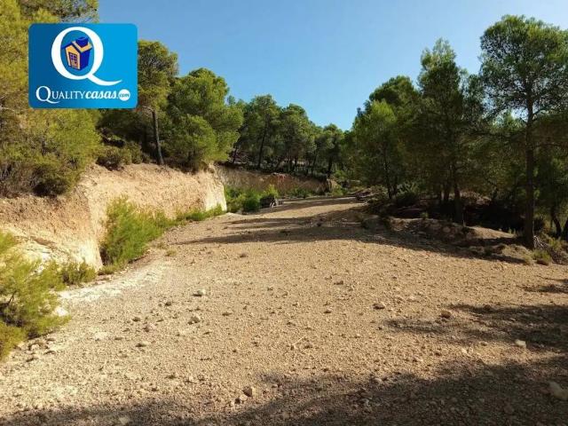 Terreno en venta en l'Alcoià, Valencia