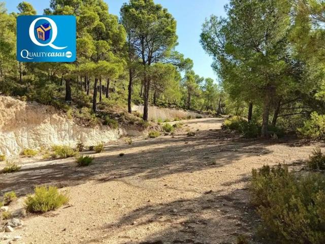 Terreno en venta en l'Alcoià, Valencia