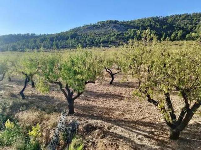Terreno en venta en Onil, Alacant / Alicante