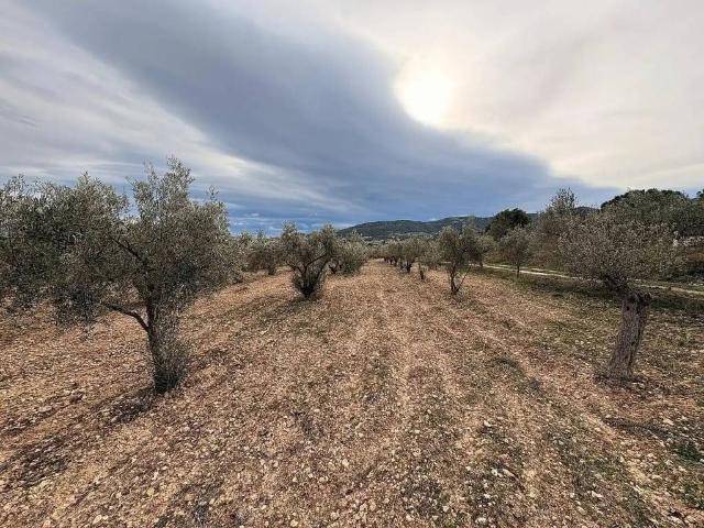 Terreno en venta en l'Alcoià, Valencia