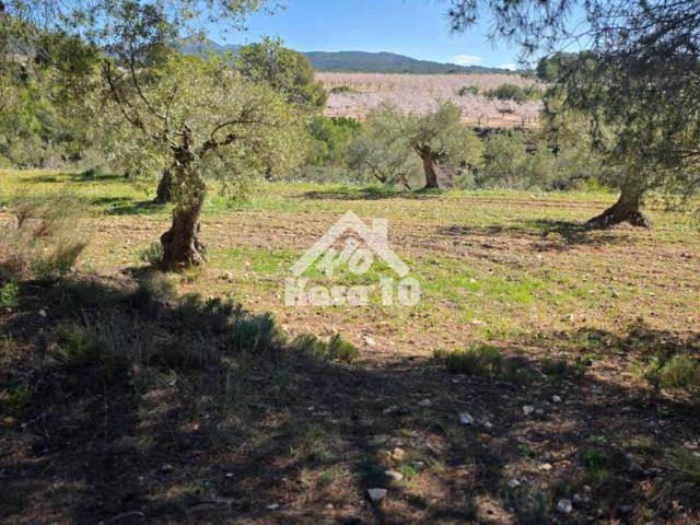 Terreno en venta en l'Alcoià, Valencia
