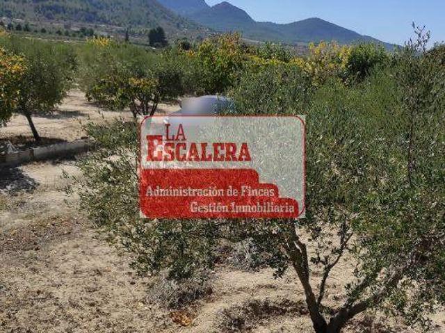 Terreno en venta en l'Alcoià, Valencia