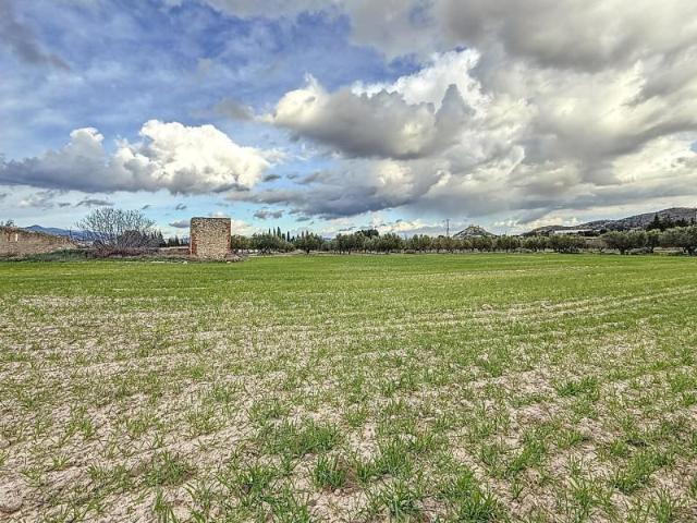 Terreno en venta en l'Alcoià, Valencia