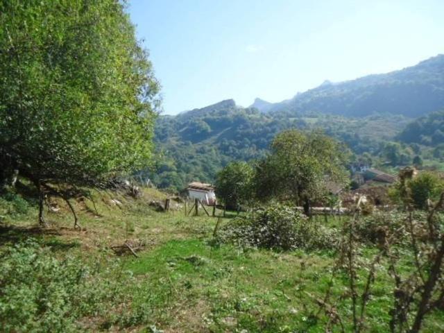 Terreno en venta en Onís