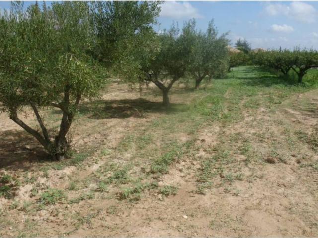 Terreno en venta en la Vall d'Albaida, Valencia