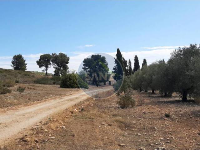 Terreno en venta en Ontinyent, Valencia