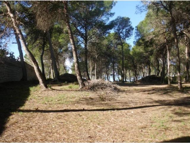 Terreno en venta en la Vall d'Albaida, Valencia