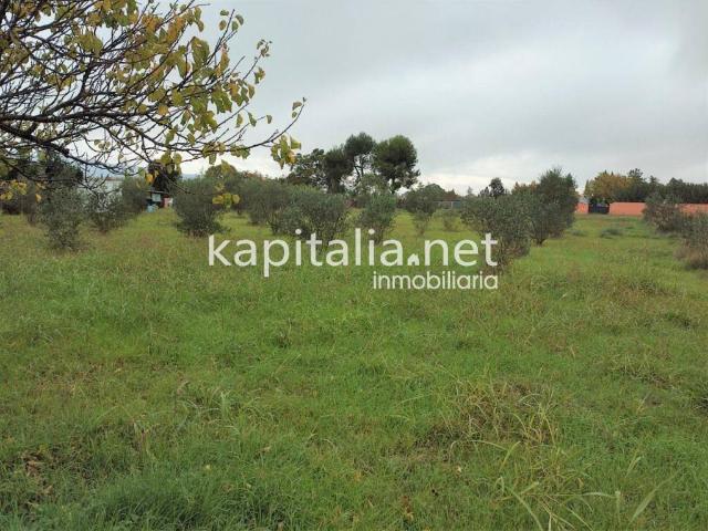 Terreno en venta en la Vall d'Albaida, Valencia