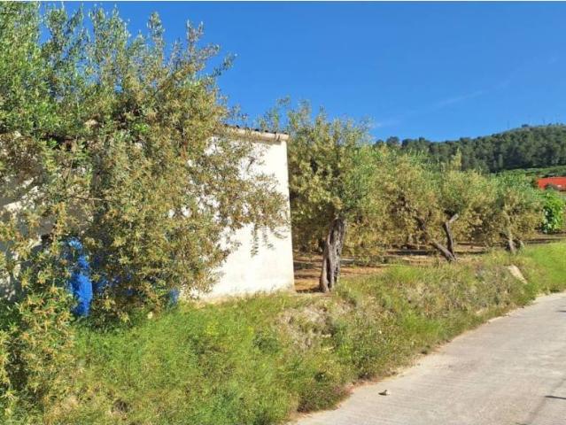 Terreno en venta en la Vall d'Albaida, Valencia