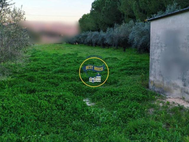Terreno en venta en la Vall d'Albaida, Valencia