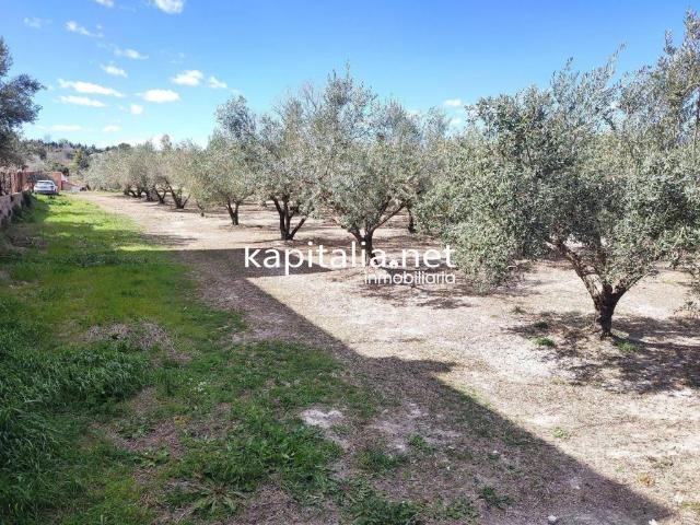 Terreno en venta en la Vall d'Albaida, Valencia