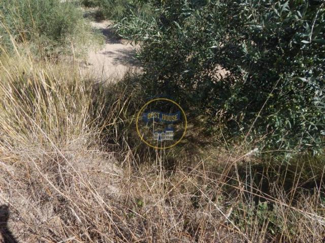 Terreno en venta en la Vall d'Albaida, Valencia
