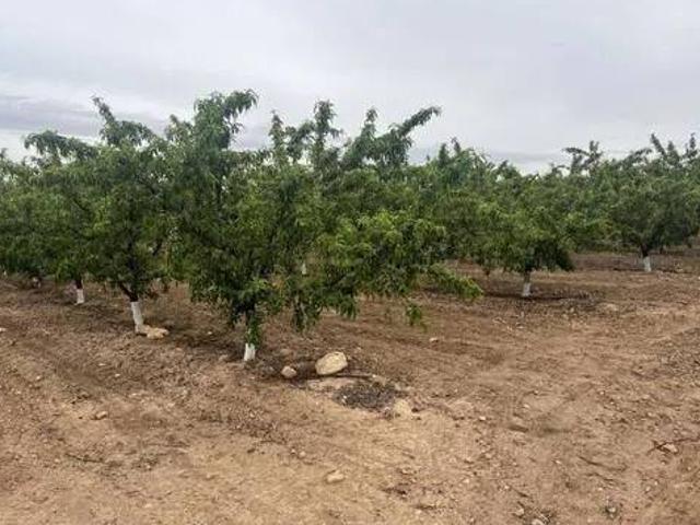 Terreno en venta en Ontur, Castilla-La Mancha