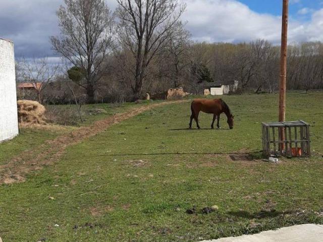 Terreno en venta en Onzonilla, Castilla y León