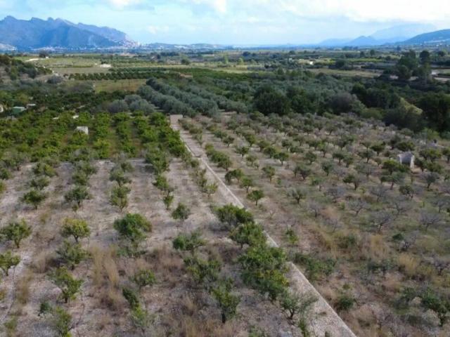 Terreno en venta en la Marina Alta, Valencia