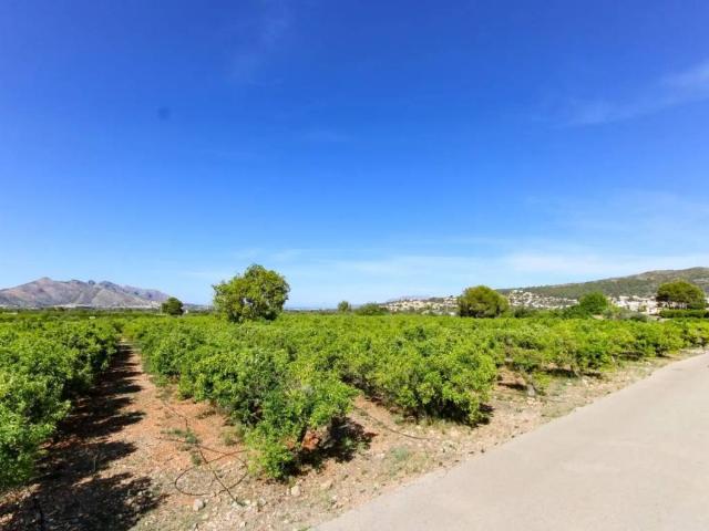 Terreno en venta en la Marina Alta, Valencia