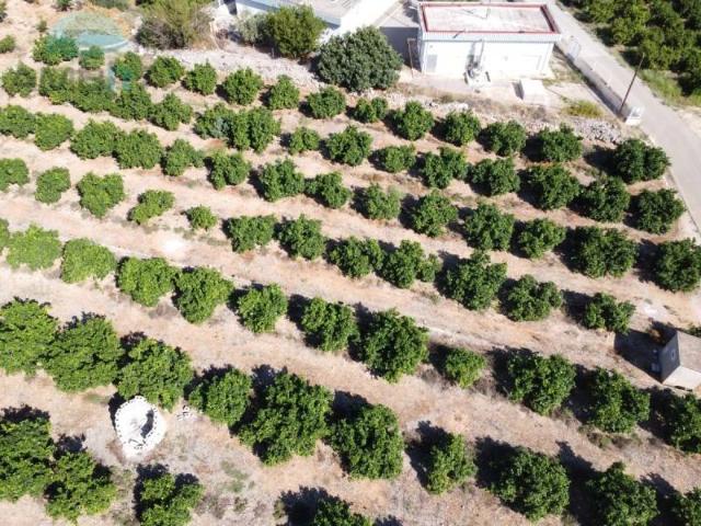 Terreno en venta en la Marina Alta, Valencia