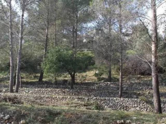 Terreno en venta en la Marina Alta, Valencia