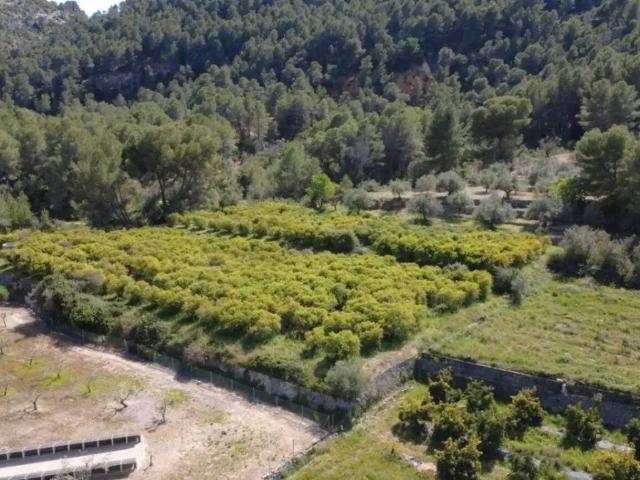 Terreno en venta en la Marina Alta, Valencia