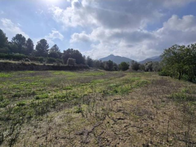 Terreno en venta en la Marina Alta, Valencia