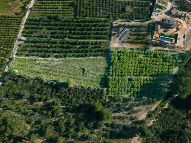 Terreno en venta en la Marina Alta, Valencia