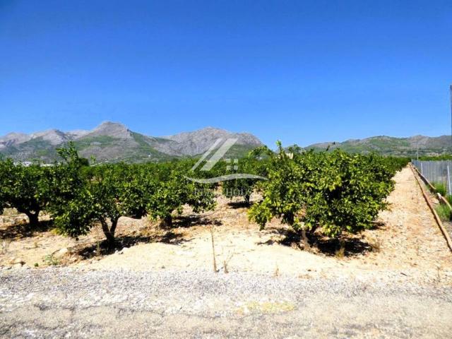 Terreno en venta en Orba