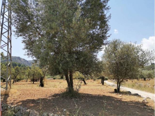 Terreno en venta en la Marina Alta, Valencia