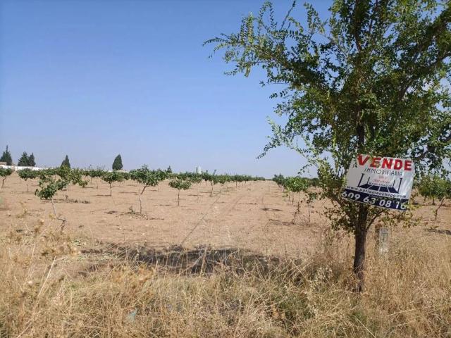Terreno en venta en Orgaz, Castilla-La Mancha