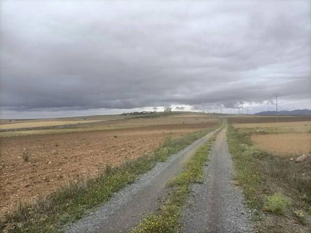 Terreno en venta en Orgaz, Castilla-La Mancha