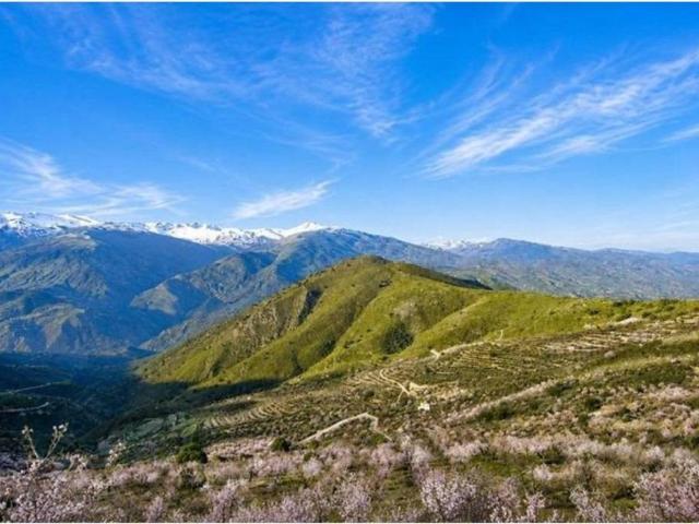 Terreno en venta en Comarca de la Alpujarra Granadina, Andalucía