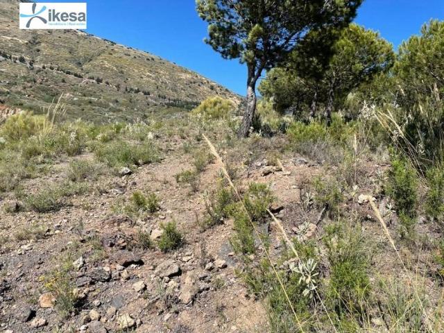 Terreno en venta en Comarca de la Alpujarra Granadina, Andalucía