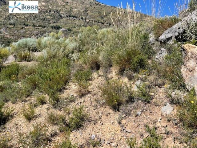Terreno en venta en Comarca de la Alpujarra Granadina, Andalucía