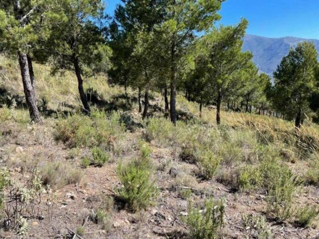 Terreno en venta en Comarca de la Alpujarra Granadina, Andalucía