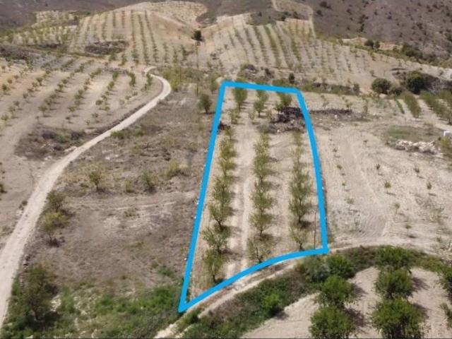 Terreno en venta en Valle del Almanzora, Andalucía