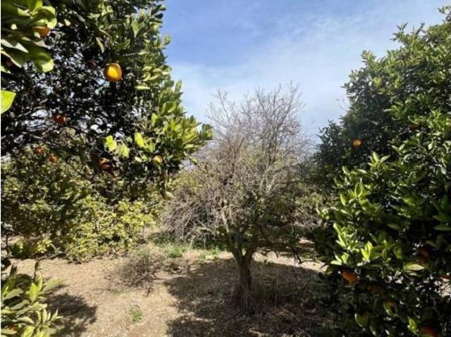 Terreno en venta en Valle del Almanzora, Andalucía