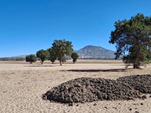 Terreno en venta en Oriental