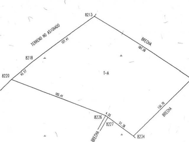 Terreno en Venta en Oriental, Oriental, Puebla