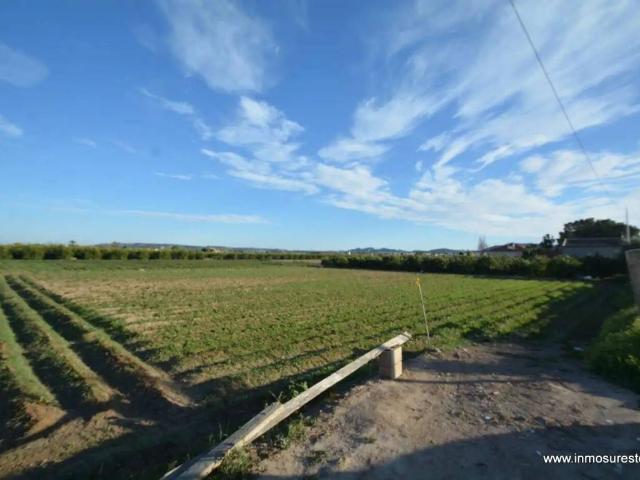 Terreno en venta en el Baix Segura / La Vega Baja, Valencia