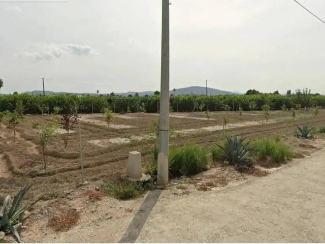 Terreno en venta en el Baix Segura / La Vega Baja, Valencia